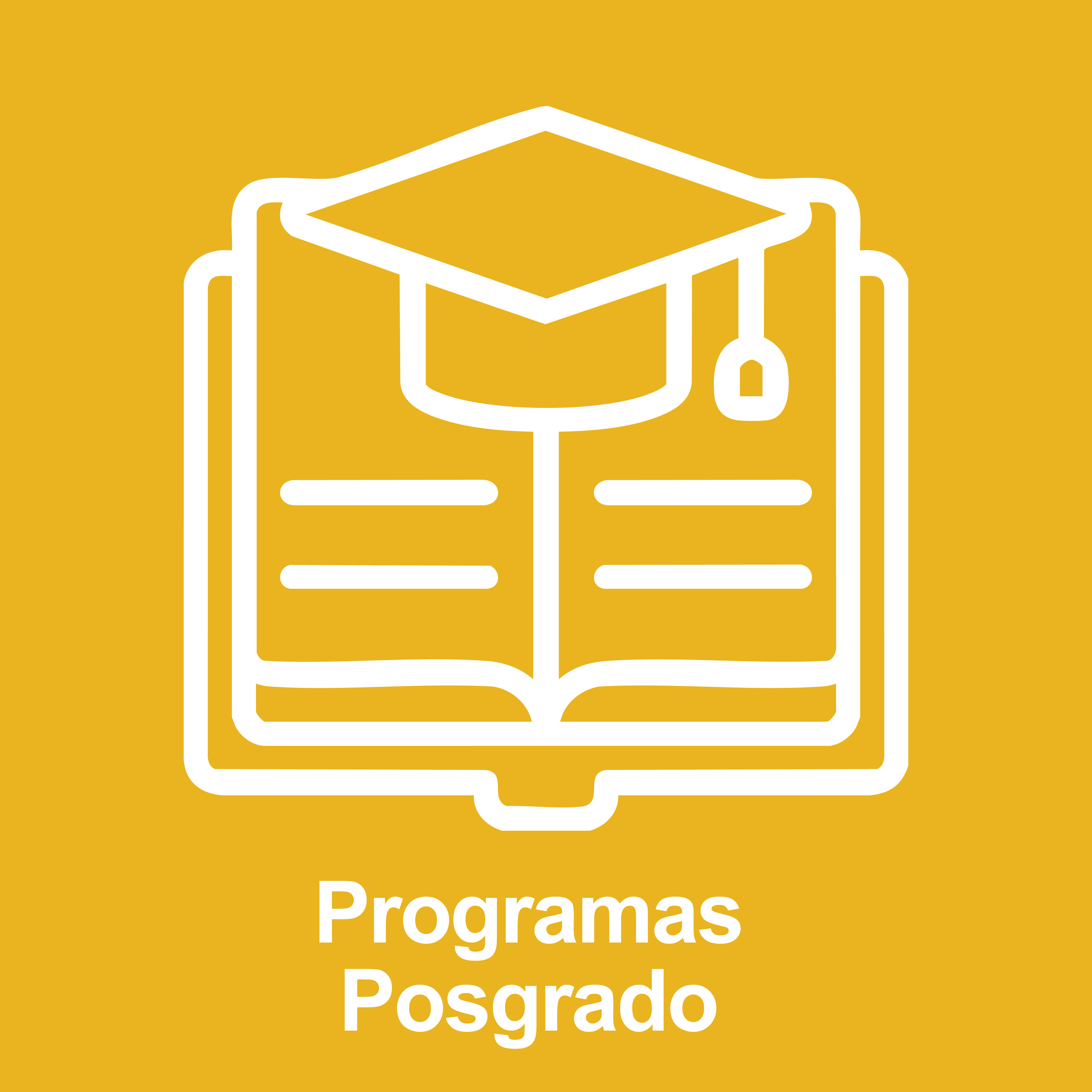 Programas de posgrado